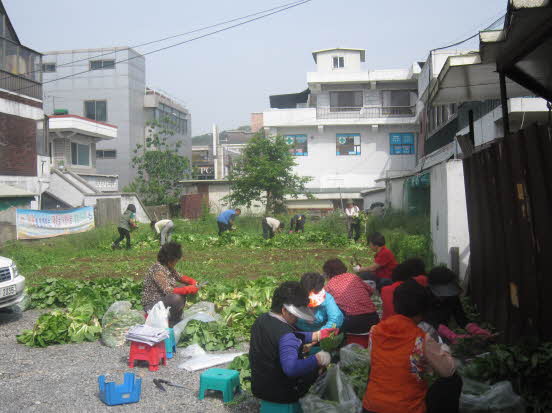 조원1동 "대추골 사랑나눔" 김치담그기-2